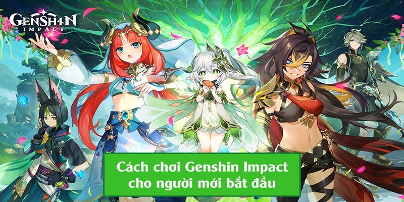 genshin impact